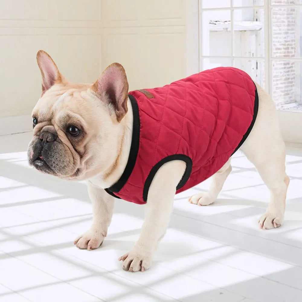 Fluffy Finds Quilted Dog Vest Jacket — Warm Cotton Coat for Small & Medium Dogs