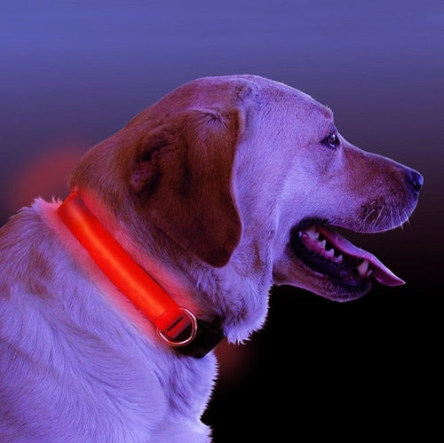 Fluffy Finds LED Safety Light-Up Dog Collar — Keep Your Dog Visible & Safe Day & Night