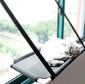 Fluffy Finds Cat Window Hammock — Suction Cup Wall Mounted Cat Perch
