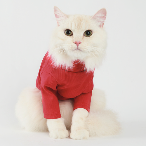Fluffy Finds Cozy Ribbed Turtleneck Cat Sweater — Soft & Stretchy for Small Cats